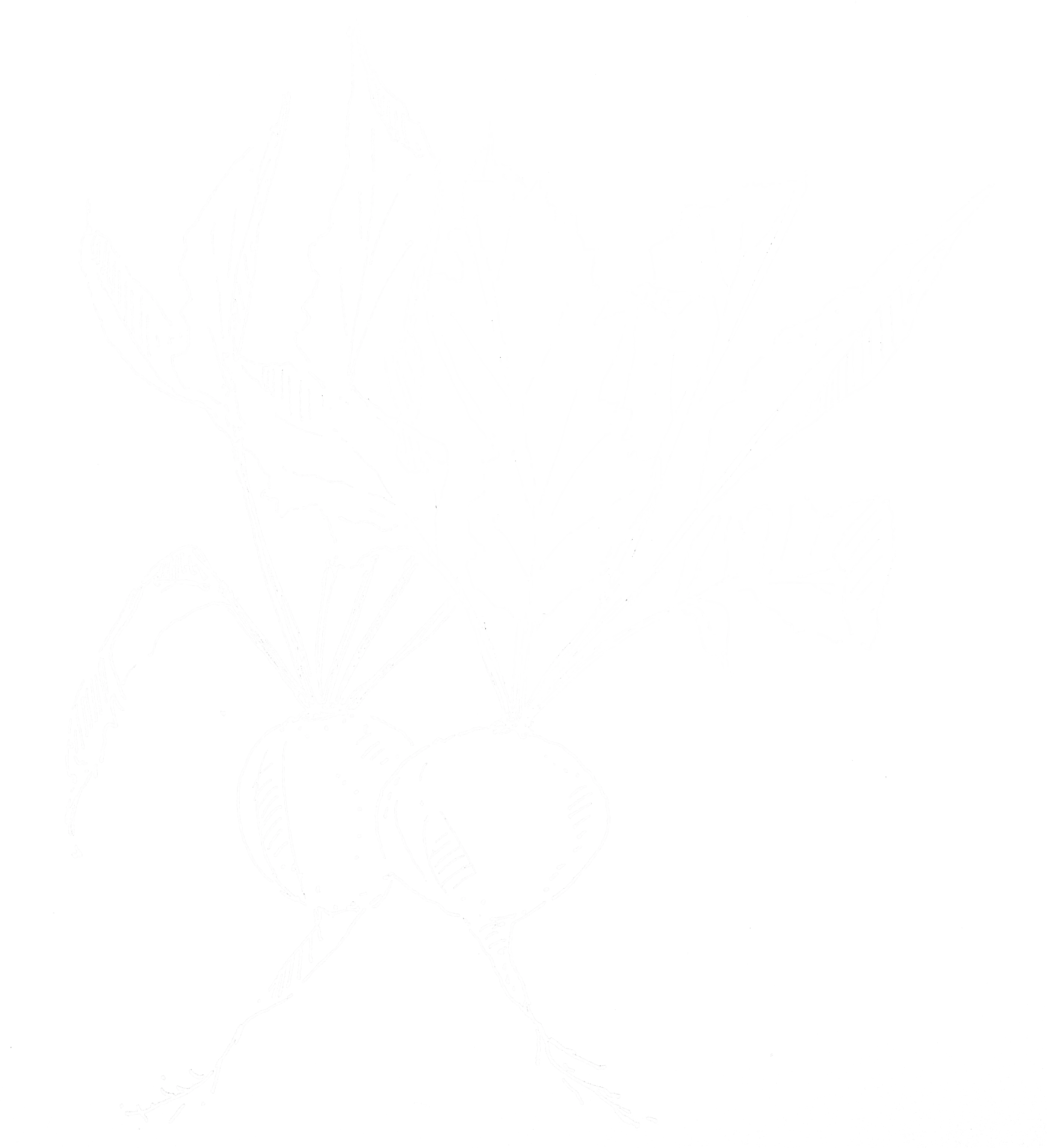 Sami verde Illustratie